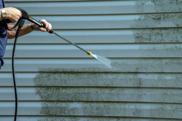 Best Solar Panel Cleaning  in De Queen, AR
